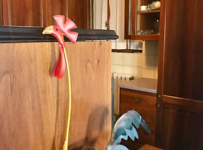 Apartmán Alba In Ca Delle Isole